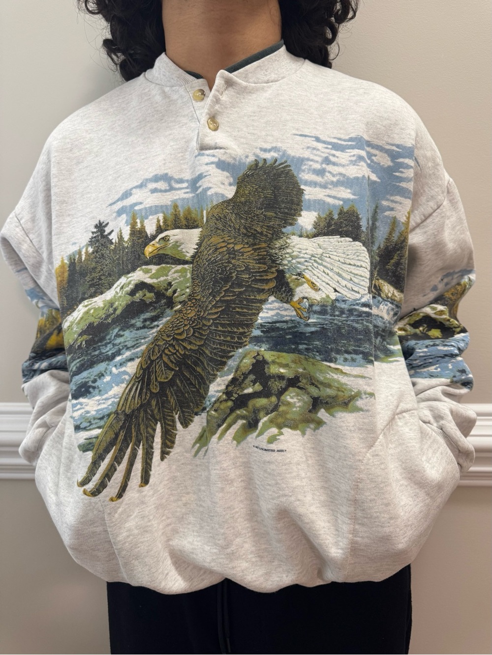 Vintage 90s Art Unlimited Eagle Wildlife Scenic Sweatshirt USA Allover Print
